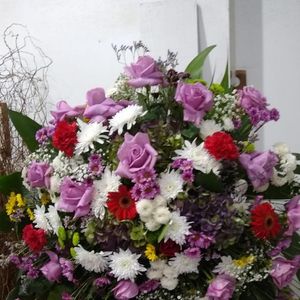 imagem do produto Coroas Especiais 