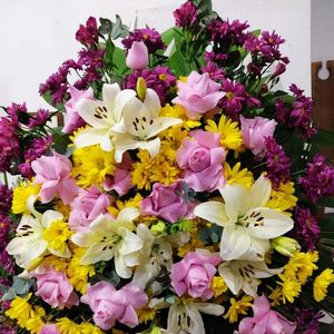 imagem do produto Coroas Especiais 