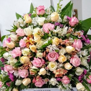 imagem do produto Coroas Especiais 