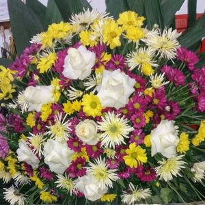 imagem do produto Coroas Especiais 