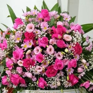 imagem do produto Coroas Especiais 