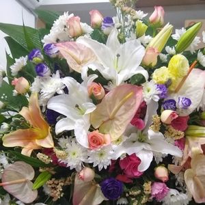 imagem do produto Coroas Especiais 