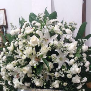 imagem do produto Coroas Especiais 