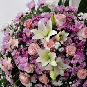 imagem do produto Coroas Especiais 