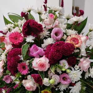 imagem do produto Coroas Especiais 