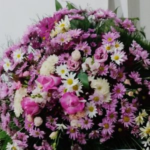 imagem do produto Coroas Especiais 