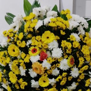 imagem do produto Coroas Especiais 