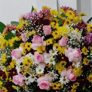 imagem do produto Coroas Especiais 