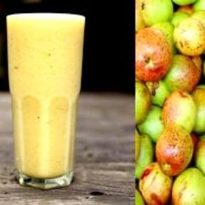 imagem do produto Suco de mangaba da fruta 400ml