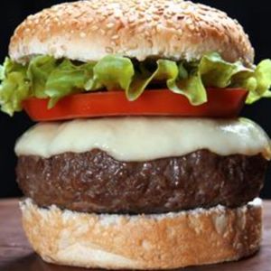 imagem do produto X-Salada