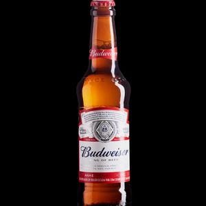 imagem do produto Budweiser Long Neck