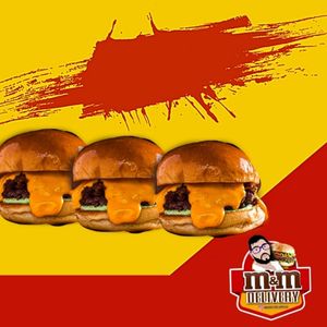 imagem do produto 3 ARTESANAL CHEDDAR