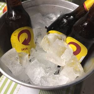 imagem do produto Cerveja Skol 600 ml preço unidade 