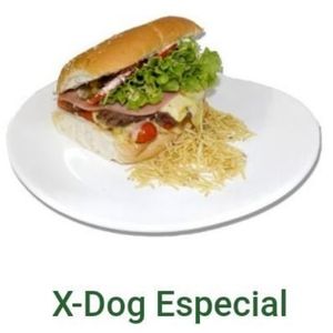 imagem do produto X-dog especial 