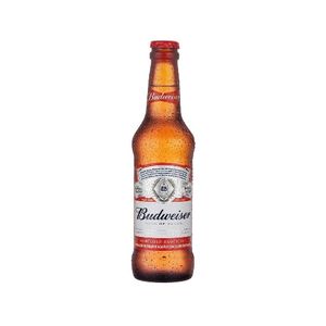 imagem do produto Budweiser (long neck)