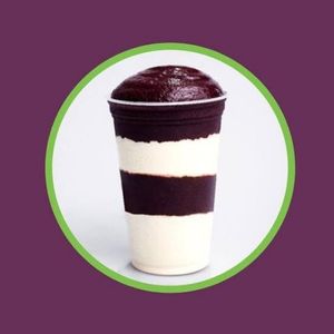 imagem do produto açaí + cupuaçu 300