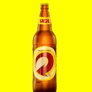 imagem do produto Litrão Skol 
