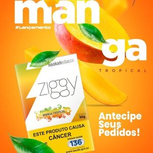 imagem do produto Ziggy Manga 
