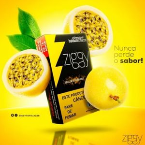 imagem do produto Ziggy Maracujá 