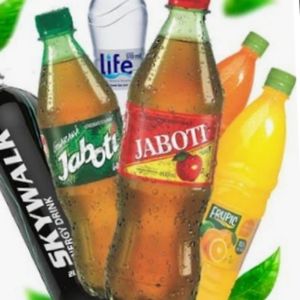 imagem do produto Jaboti 600ml maçã