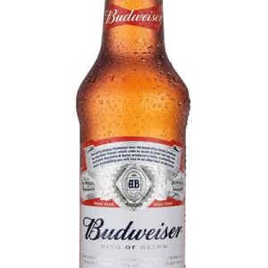 imagem do produto Budweiser 330ml