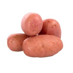 imagem do produto Batata Asterix 25Kg