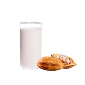 imagem do produto Suco cacau