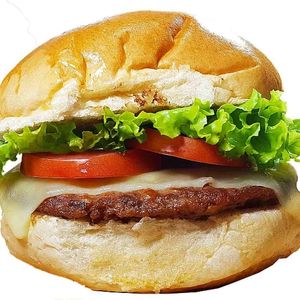 imagem do produto X BURGUER