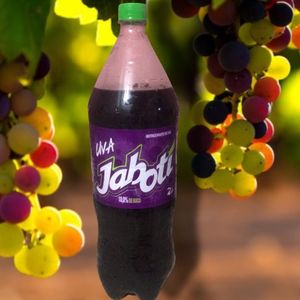 imagem do produto Jaboti Uva 2Litros 