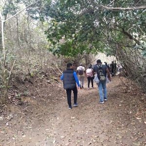 imagem do produto Andada