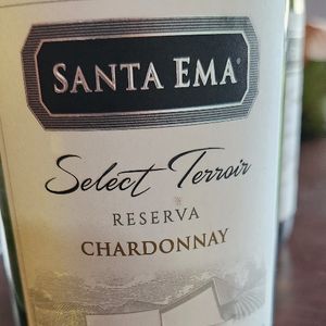 imagem do produto Vinho branco Santa Ema