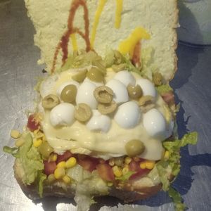 imagem do produto X Vegetariano