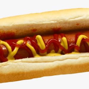 imagem do produto Dog simples 