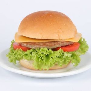 imagem do produto X-salada simples