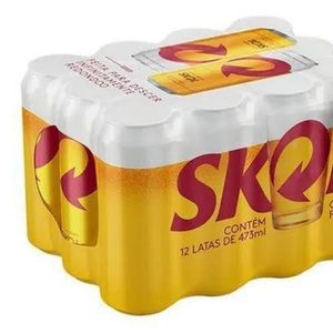 imagem do produto Skol fardo 