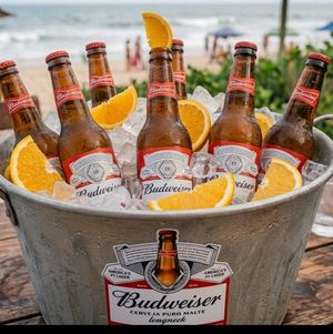 imagem do produto Combo Budweiser LN