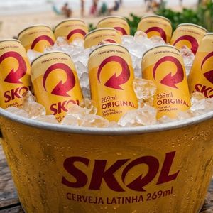 imagem do produto Combo de Skol 269ml