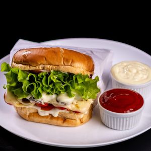 imagem do produto X-Dog Especial