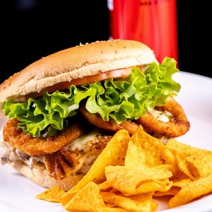 imagem do produto  X- Frango turbo 