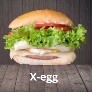 imagem do produto X-Egg