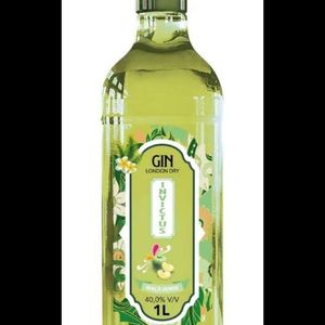 imagem do produto Gin london dry Invictus Maçã Verde 1 litro