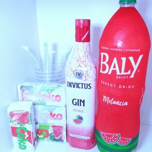 imagem do produto Combo de Gin Invictus melancia + energético bally melancia 2 l + 4 gelos de melancia + 4 copos 770 ml e 4 canudos 