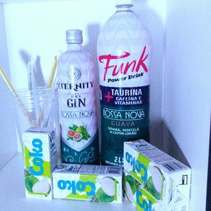 imagem do produto Combo de gin Eternity Goiaba , hortelã e capim- limão com energético De Goiaba e Hortelã + 4 gelos de coco + 4 copos e 4 canudos 
