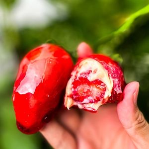 imagem do produto Morango do Amor - 100g