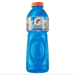 imagem do produto Gatorade