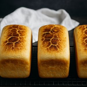 imagem do produto Forma - Tradicional, sem glúten