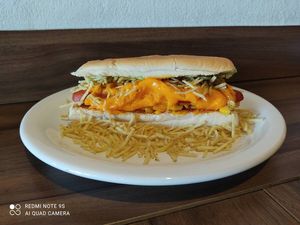 imagem do produto Dog Prensado