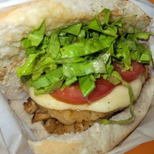 imagem do produto X-leoncimi