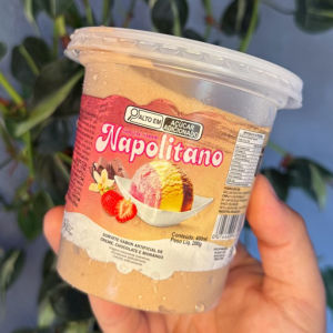 imagem do produto pote sorvete NAPOLITANO 400ml