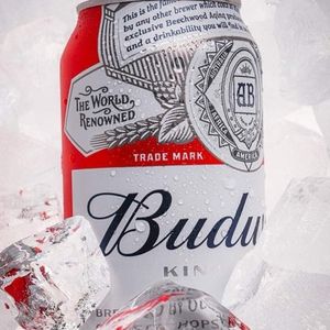 imagem do produto Budweiser 473ml